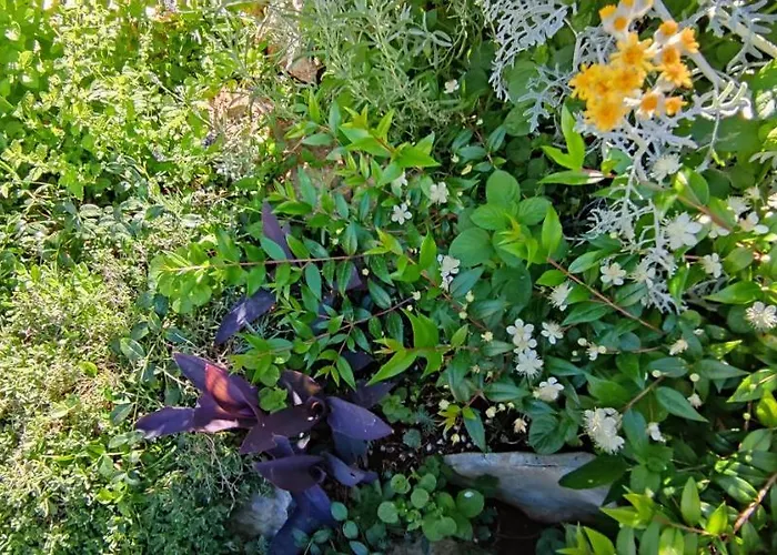 Luna 22 Lejlighed Poreč