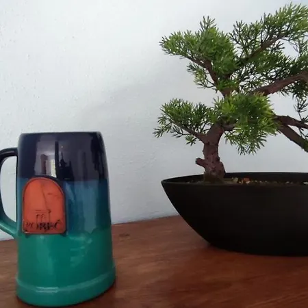 Apartament Luna 22 *