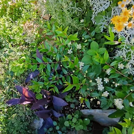 Luna 22 Apartament Poreč